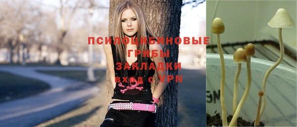 метамфетамин Гусев