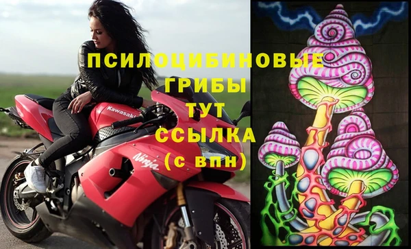 гашишное масло Данков