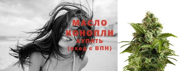 кристаллы Гусь-Хрустальный