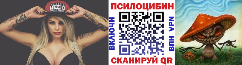 хочу наркоту  Жуков  нарко площадка клад  Псилоцибиновые грибы Psilocybine cubensis 